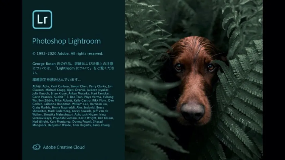Adobe Photoshop Lightroomをフォトプランではなく単体プランで契約した理由