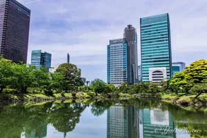 民主主義の新たな形へのアイデア｜東浩紀『一般意志2.0』