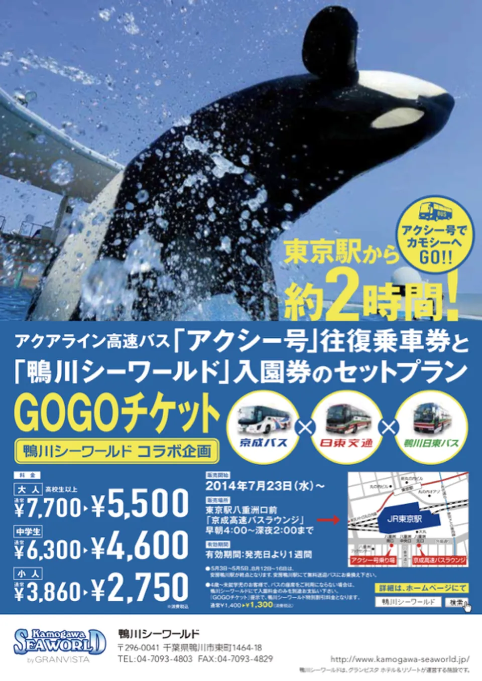 東京から鴨川シーワールドに行くならバス！東京からのバスがセットのGOGOチケットがおすすめ！