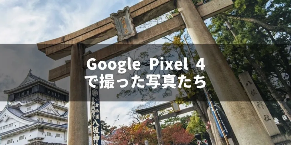 Google Pixel 4で撮った写真をひたすら貼る記事〜ポートレートモード、夜景モード