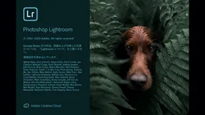 どちらがいい？Skylum SoftwareのLuminar 4ではなくAdobeのLightroomを選んだ理由【写真現像ソフト】