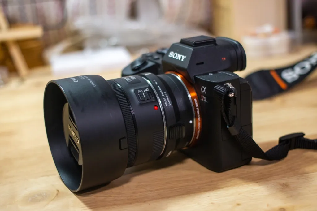 Sony α7IIIで使えるEF-Sマウント用（APS-C）レンズもあるようです【SIGMA Mount Converter MC-11 】｜飽き性の頭の中