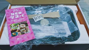 【館山パイオニアファーム】千葉でいちじく狩りをしてきました