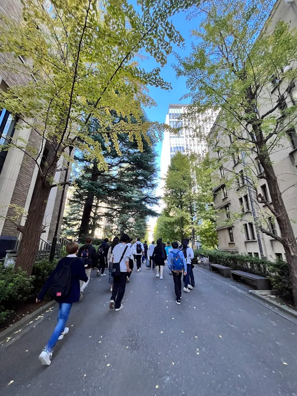 大学院のおともたちと研究進捗共有会