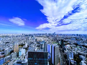 仕事を辞めて通った大学院の修士課程（政治学）が実質終わったので所感を書く