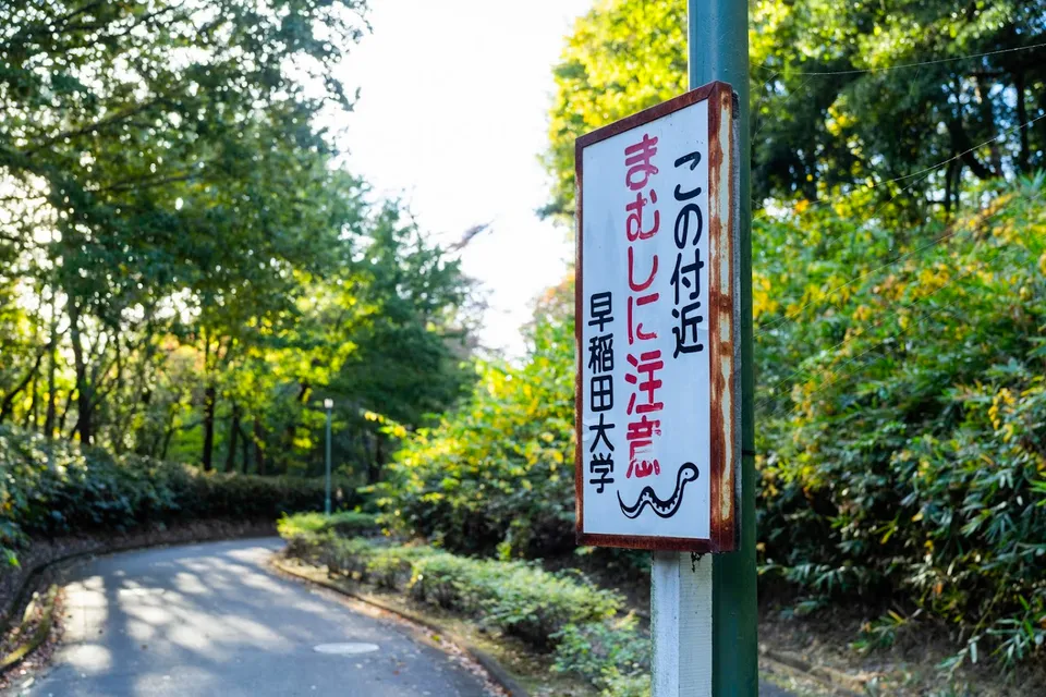 第7回ホームカミングデーに行ってきました【早稲田大学本庄高等学院】