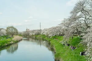 雨の日光まなかの森キャンプ場で1泊2日——ログハウス泊と温泉で最高の時間を過ごした